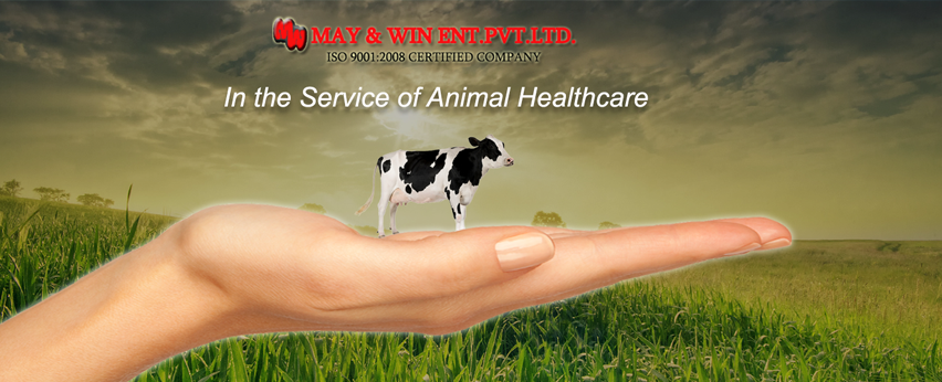 Animal Feed Supplements Mumbai India
