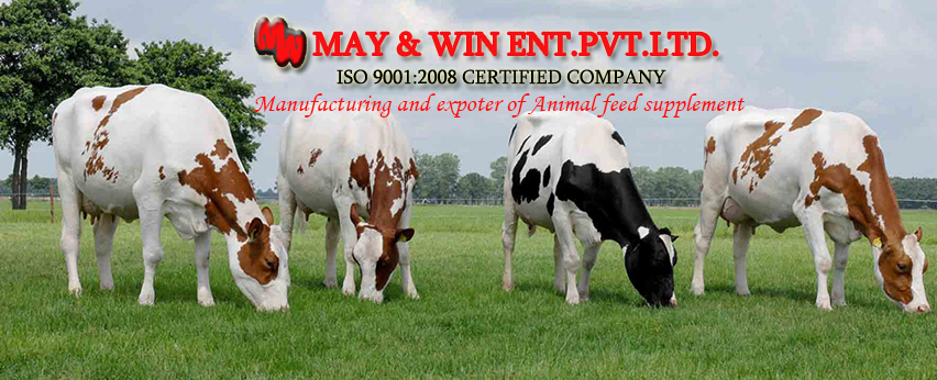 Animal Feed Supplements Mumbai India